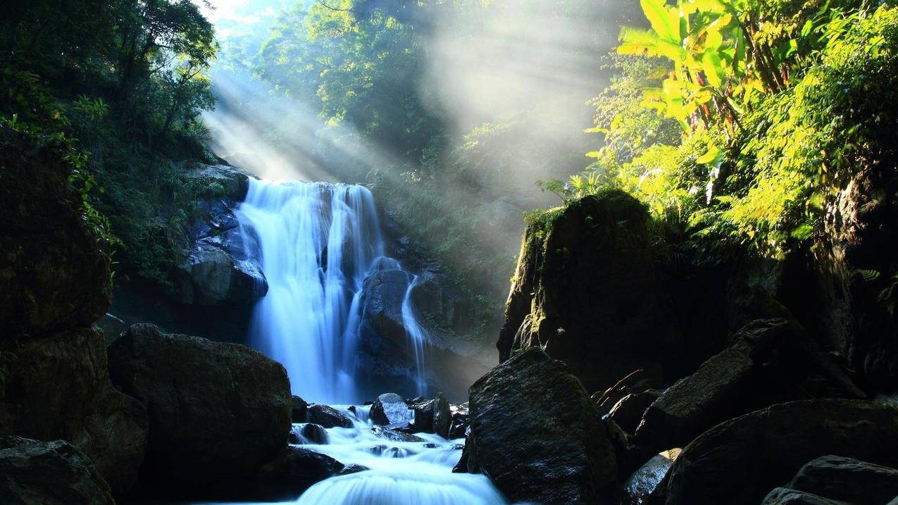 QQ刷点赞 - 拼多