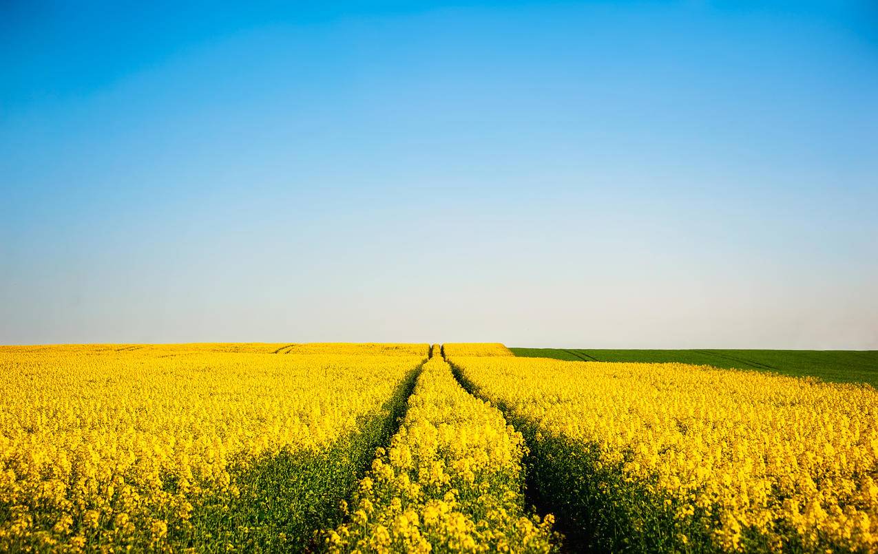 卡盟刷快手粉丝死粉自助下单平台diafa.cn,代刷网