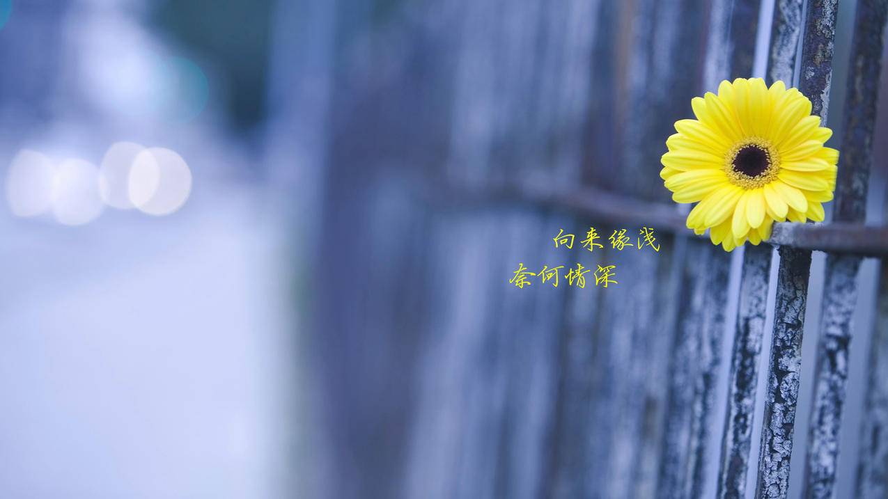 快手双击播放量免费软件,QQ免费赞快手双击量在线刷10个
