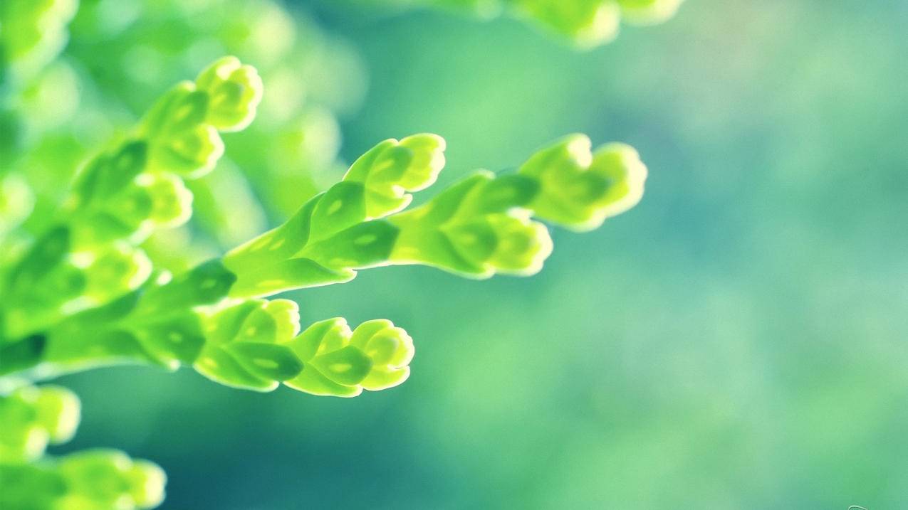 全网最低价代刷网抖音-小雨网络代刷,免费刷qq空间访问量网站,球球大作战业务自助下单平台
