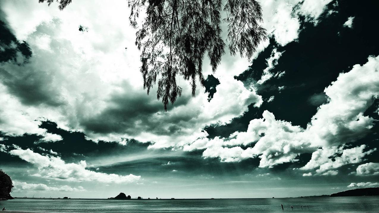 和平精英解除防沉迷,
